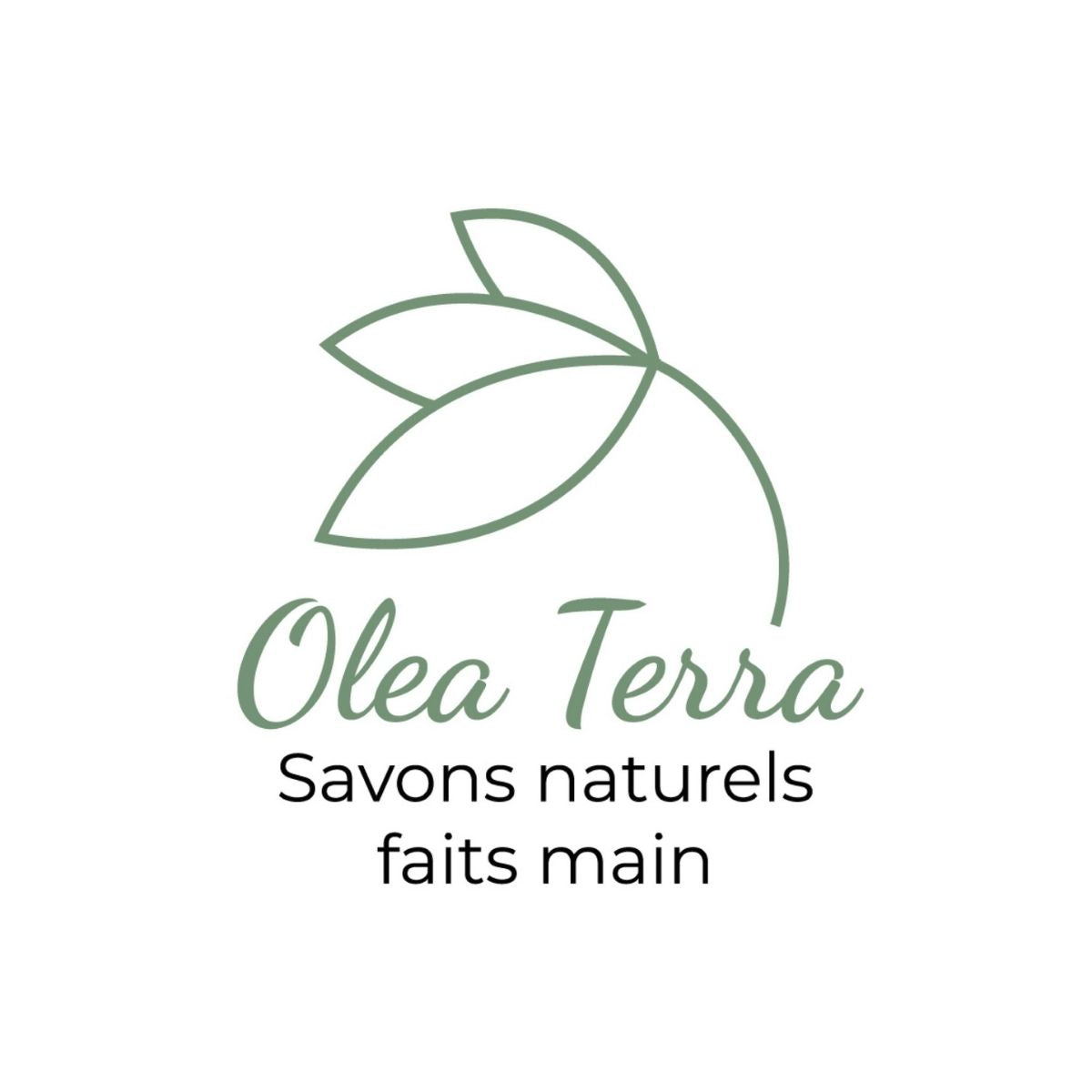 Olea Terra