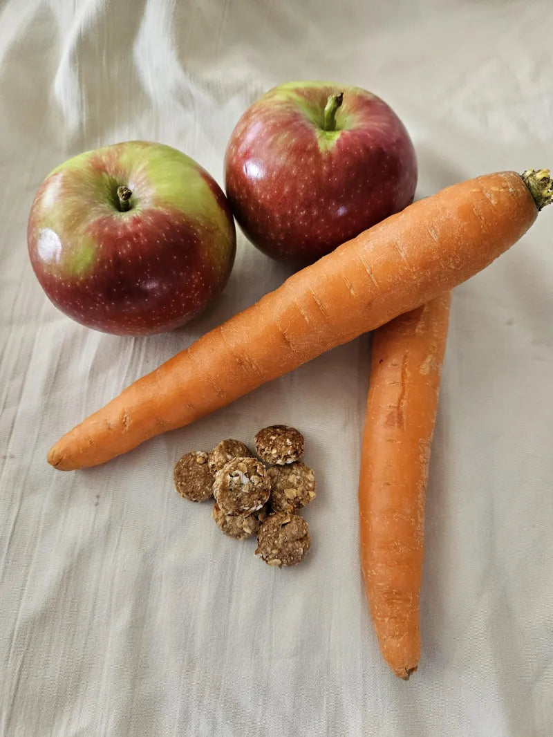 Apple & Carrot Training Pastille