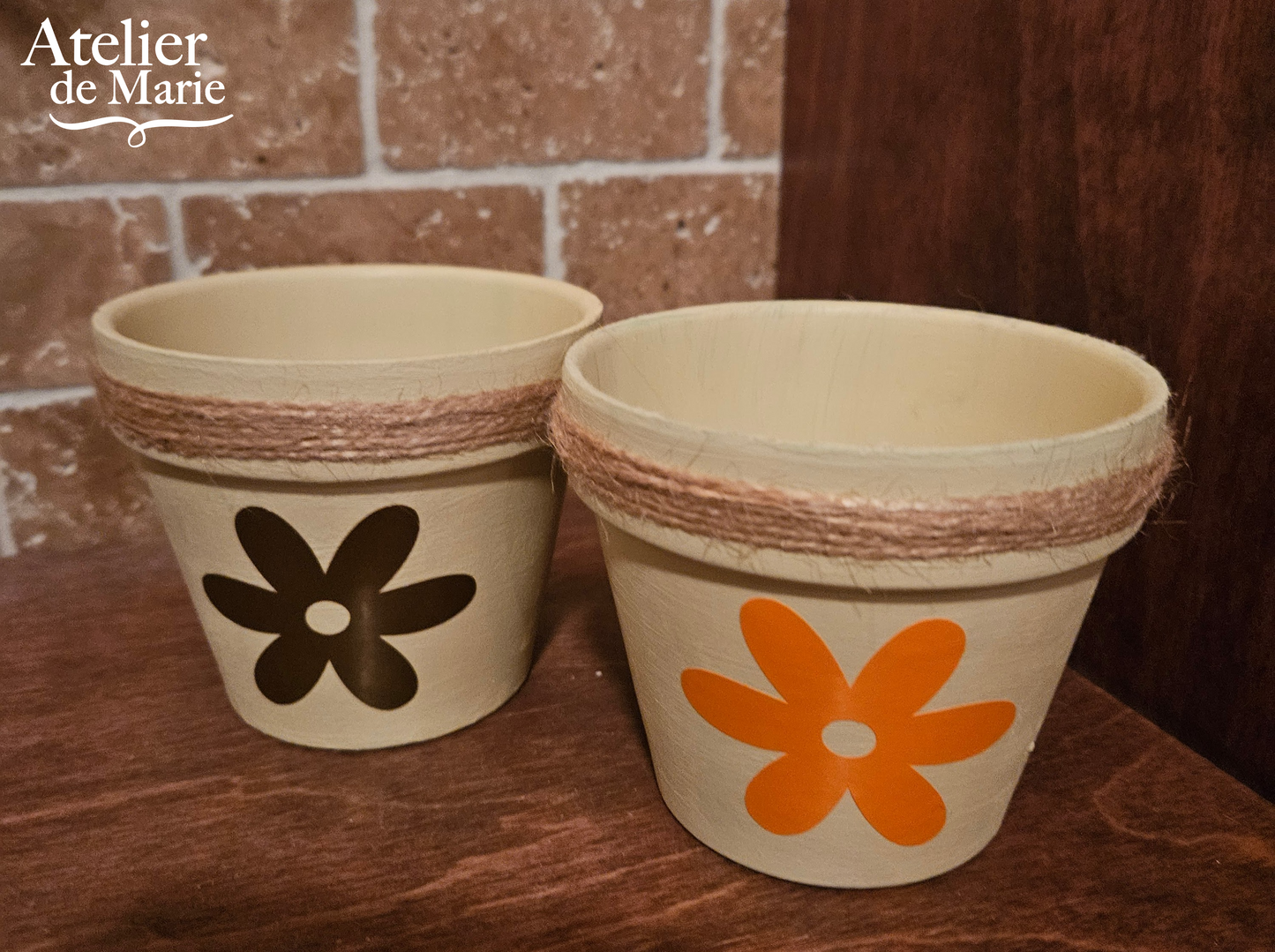 Petits pots pour plantes