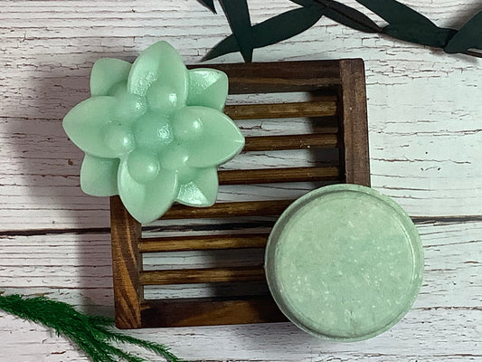 Eucalyptus and mint solid conditioner duo